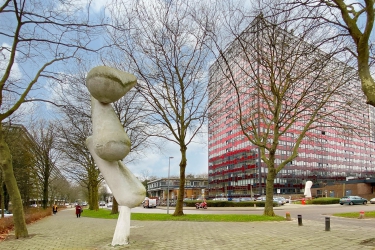 Laan van Vollenhove 354, 3706 AA, Zeist