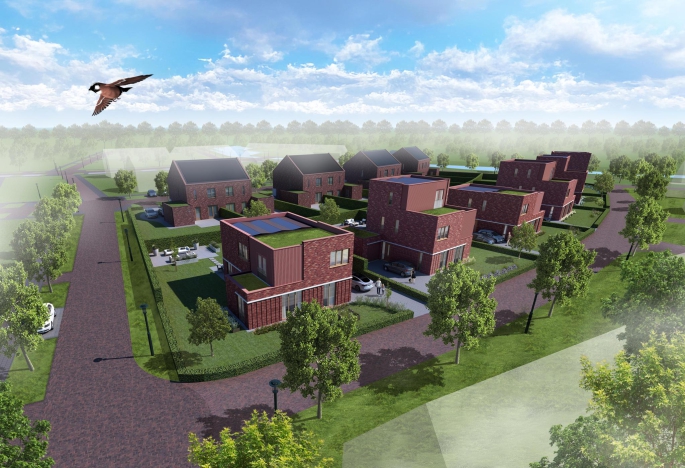 Gele akker | Kloosterakker, Veldzang | Vrijstaand, Assen
