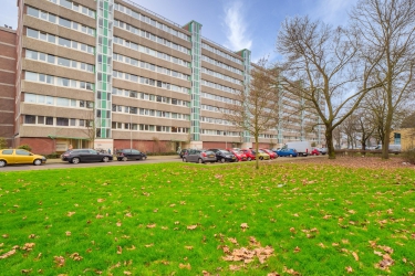 Androsdreef 96, 3562 XC, Utrecht