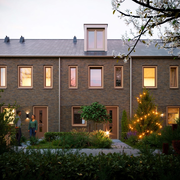Korenbloemstraat, Tulp, Heerhugowaard