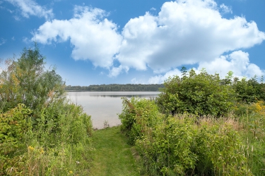 Schutteheide 1 E, 6097 HA, Heel