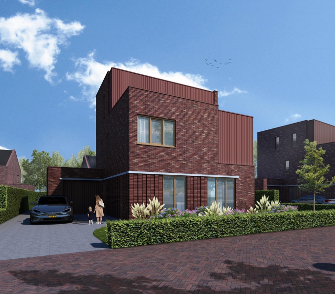 Gele akker | Kloosterakker, Veldzang | Vrijstaand, Assen